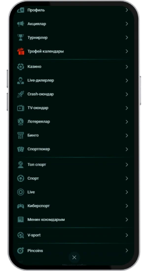 Pinco меню бөлүмдөрүнүн тизмеси