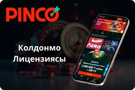 Колдонмо лицензиясы