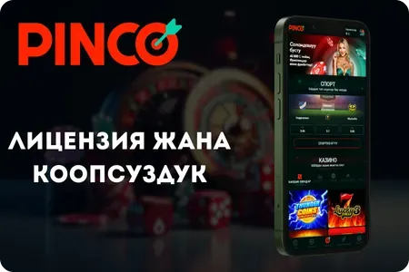 Лицензия жана коопсуздук