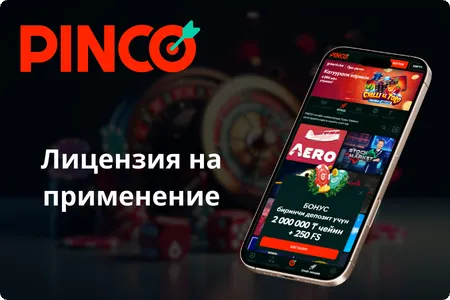 Лицензия на применение